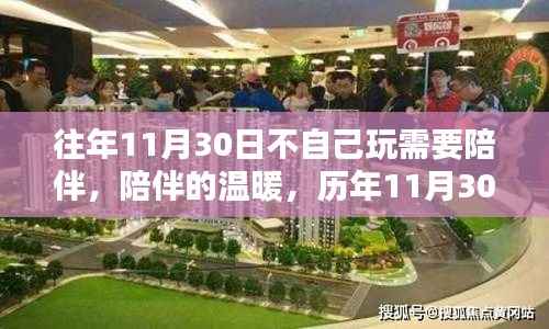 历年11月30日的陪伴时光,温暖陪伴驱散孤独的日子回顾