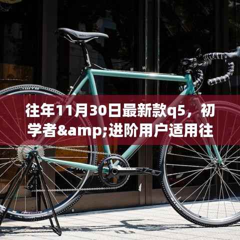 往年11月最新款Q5购买攻略,初学者与进阶用户选购指南