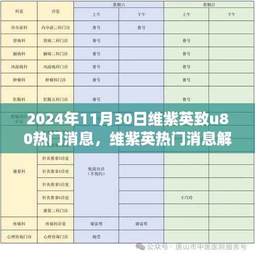 维紫英致u80热门消息解析,观点碰撞与个人立场聚焦