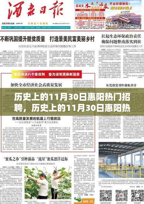 历史上的11月30日惠阳热门招聘深度解析,特性、体验、竞品对比与用户洞察