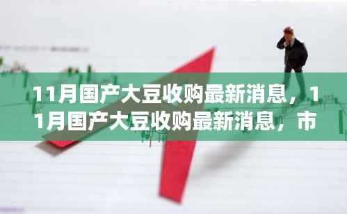 11月国产大豆收购最新动态,市场走势、收购进展与未来展望