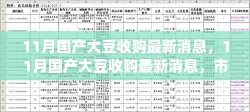 11月国产大豆收购最新动态,市场走势、收购进展与未来展望