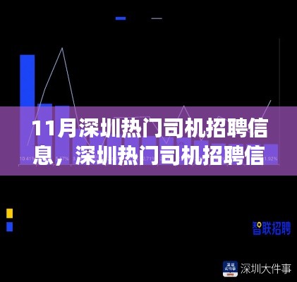 11月深圳热门司机招聘信息深度解析,行业洞察与求职指南