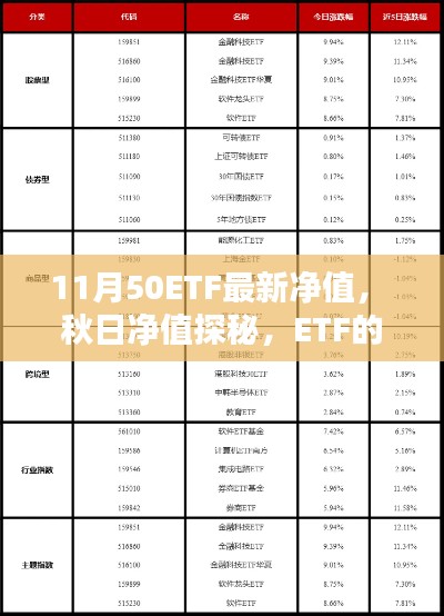 秋日ETF净值探秘,果实累累与友情暖阳中的ETF表现分析