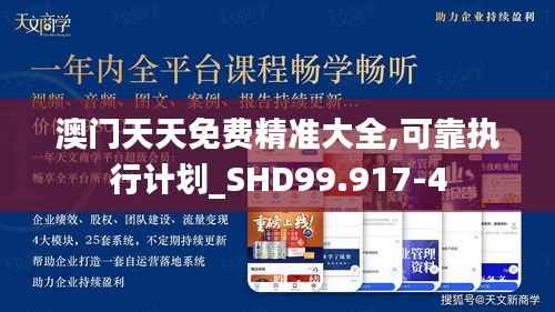 澳门天天免费精准大全,可靠执行计划_SHD99.917-4