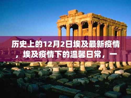 埃及疫情下的温馨日常与友谊故事,历史视角下的12月2日观察