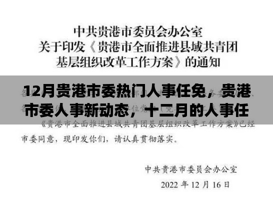 贵港市委人事任免新动态,十二月人事调整与友情的温暖故事