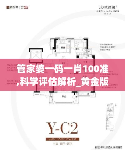 管家婆一码一肖100准,科学评估解析_黄金版91.549-6