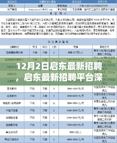 启东最新招聘平台测评报告,深度解析启东招聘市场现状(最新日期,12月2日)