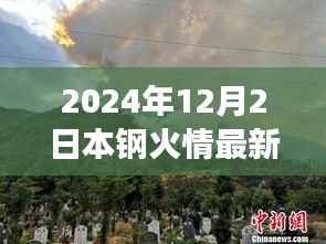 本钢火情之后的心灵探索之旅,静待宁静的2024年12月