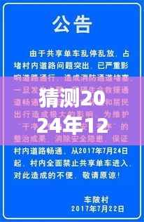 漳客网官陂探寻自然秘境,心灵之旅启程于2024年12月的新发现