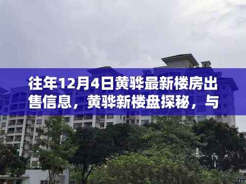 黄骅最新楼盘探秘,与自然美景共舞的心灵港湾,往年12月4日最新出售信息