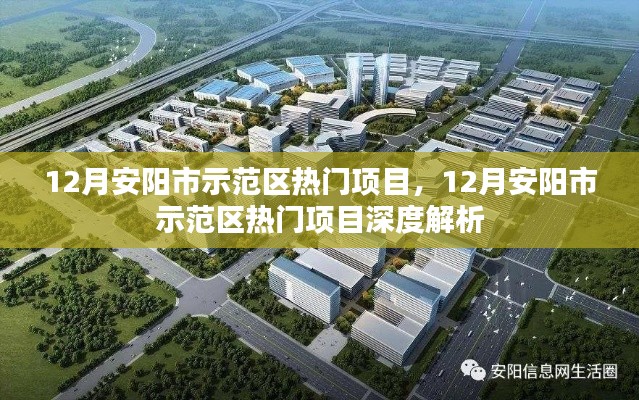 12月安阳市示范区热门项目深度解析,探寻热门项目的魅力与价值