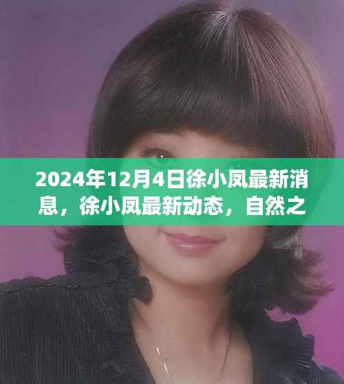 徐小凤心灵之旅最新动态,自然之旅的呼唤,寻找宁静港湾的足迹(2024年)