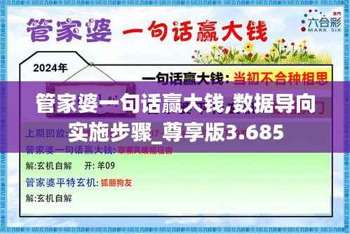管家婆一句话赢大钱,数据导向实施步骤_尊享版3.685