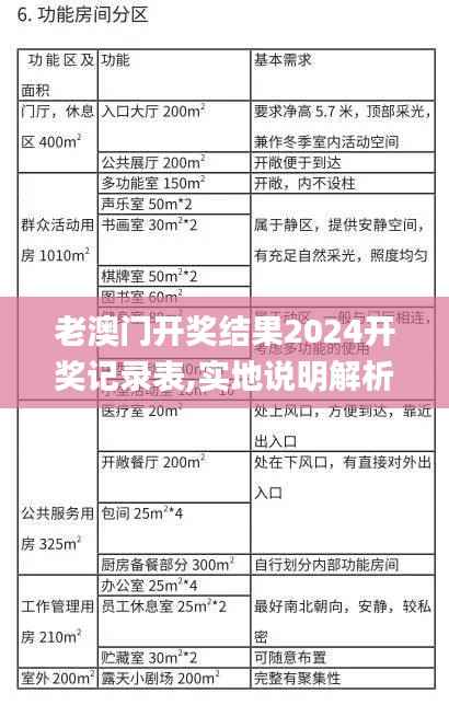 老澳门开奖结果2024开奖记录表,实地说明解析_RemixOS10.589
