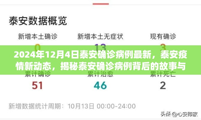 泰安疫情最新动态,揭秘确诊病例背后的故事与影响(截至2024年12月4日)