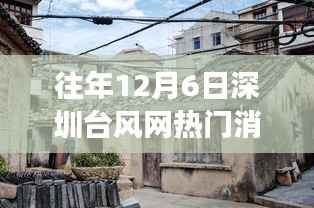 历年台风背后的故事,深圳隐秘小巷风味秘境的探寻与揭秘