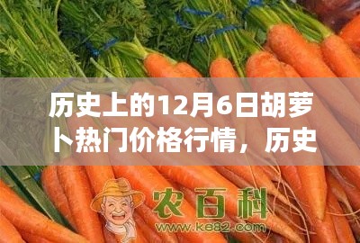 历史上的胡萝卜价格行情概览,聚焦12月6日的胡萝卜热门价格行情