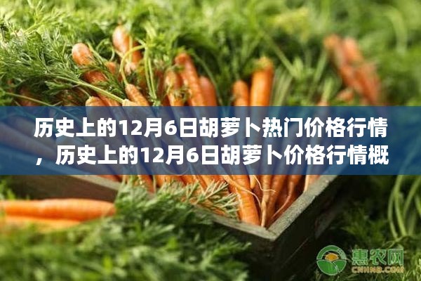 历史上的胡萝卜价格行情概览,聚焦12月6日的胡萝卜热门价格行情