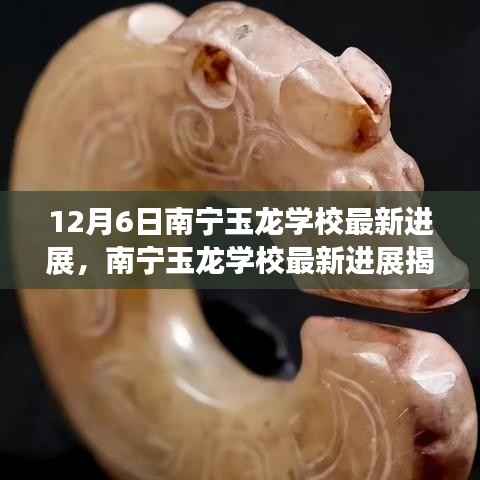 南宁玉龙学校12月6日最新进展揭秘，里程碑时刻的到来