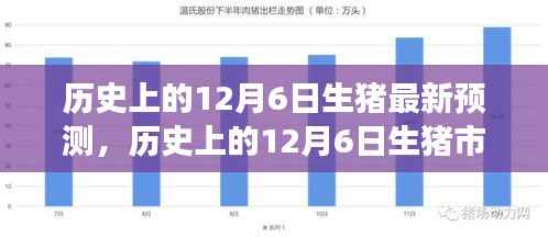 历史上的12月6日生猪市场趋势分析与最新预测——初学者与进阶指南全解析