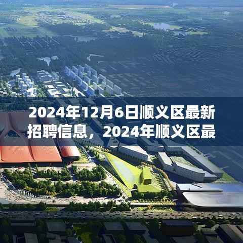 2024年顺义区最新招聘信息揭秘，就业机遇与挑战并存