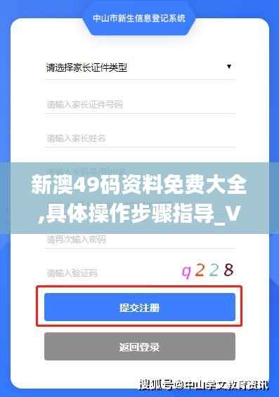 新澳49码资料免费大全,具体操作步骤指导_V24.541
