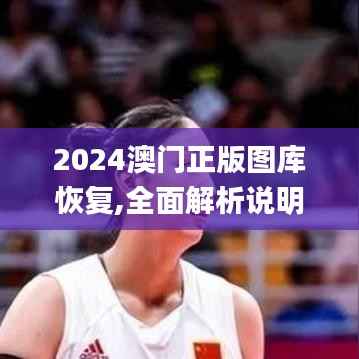2024澳门正版图库恢复,全面解析说明_VR8.549