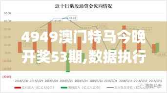4949澳门特马今晚开奖53期,数据执行驱动决策_体验版8.485