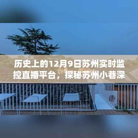 探秘苏州小巷深处的直播秘境,遇见时光直播屋——历史上的苏州实时监控直播平台回顾(12月9日)