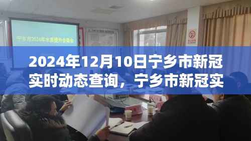 宁乡市新冠疫情实时动态查询系统,共同守护家园的最新信息