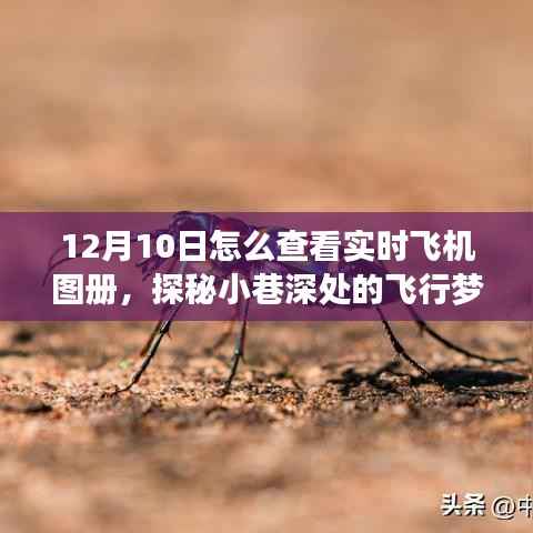 探秘飞行梦想屋,揭秘实时追踪飞机图册的神秘之旅(12月10日指南)
