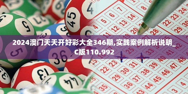 2024澳门天天开好彩大全346期,实践案例解析说明_C版110.992