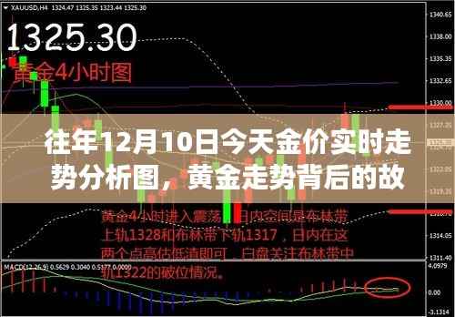 黄金走势背后的故事,学习变化与成就乐趣并存,黄金走势实时分析图及学习心得分享