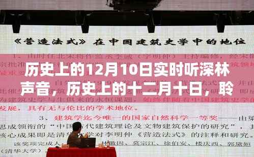 探寻时光印记,历史上的十二月十日深林之声回顾与聆听