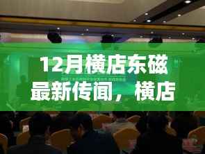 横店东磁十二月新传闻,友谊的磁场与温暖的传奇