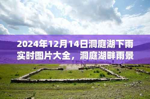 洞庭湖畔雨景实拍,深度解析洞庭湖下雨实时图片大全(2024年12月14日)