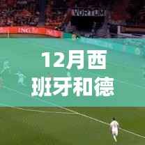 金石为开 第4页