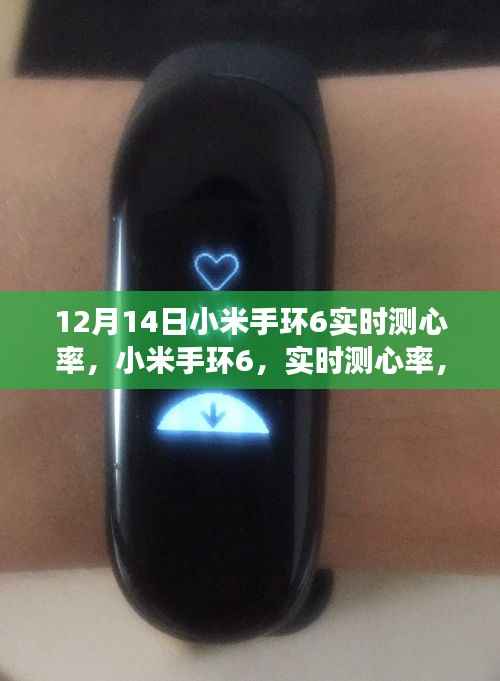 小米手环6实时心率监测,科技守护健康时刻
