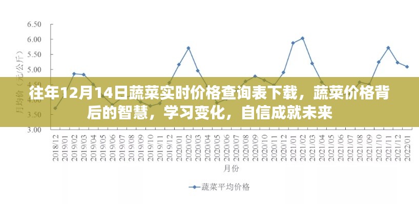 蔬菜价格背后的智慧,实时查询表下载,学习变化,自信成就未来之路