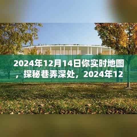 探秘实时地图,巷弄深处的隐藏瑰宝,揭秘2024年12月14日神秘宝藏