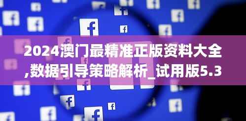 2024澳门最精准正版资料大全,数据引导策略解析_试用版5.363