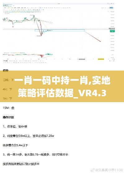 一肖一码中持一肖,实地策略评估数据_VR4.367