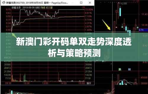 成功案例 第287页