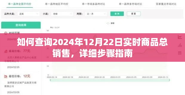 2024年12月22日实时商品总销售查询详细步骤指南