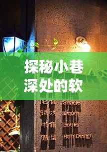 探秘小巷深处的软件宝藏,十二月最佳实时软件与神秘小店揭秘