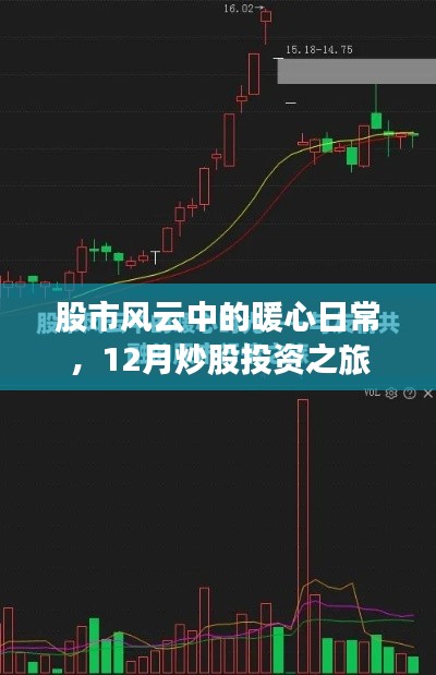 股市风云中的暖心日常,12月炒股投资之旅的启示