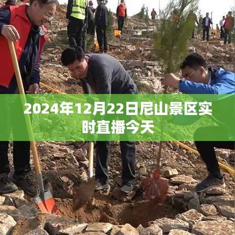 尼山景区今日实况直播,2024年12月22日