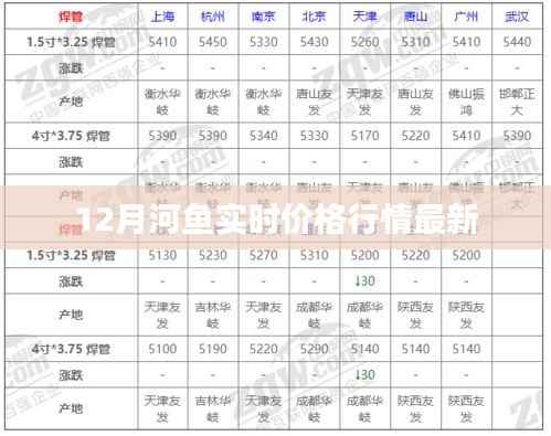 12月河鱼最新实时价格行情概览